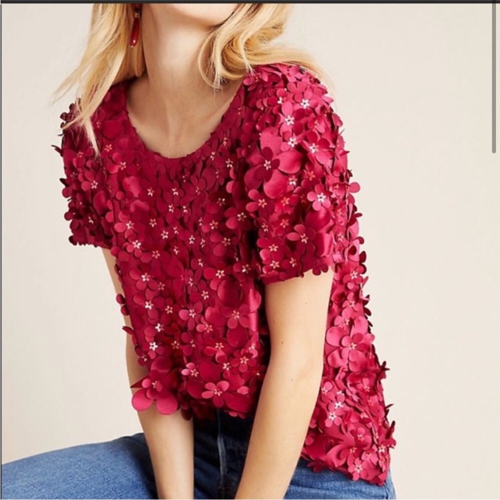 Pink Floral Anthropologie Top